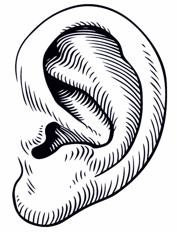 Pictures of a ear clipart