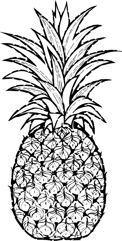 Pineapple clip art fruit clip art downloadclipart org