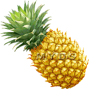 Pineapple clipart free clip art image 9