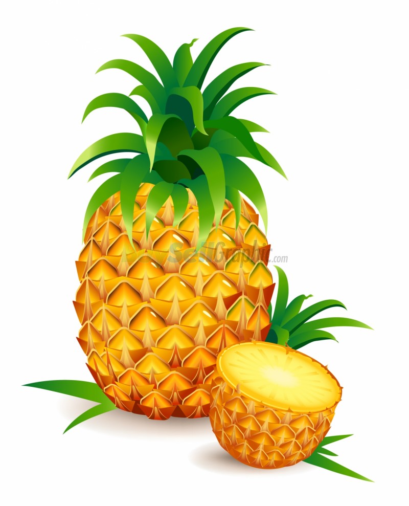 Pineapple clipart pineapple fruit clip art downloadclipart org