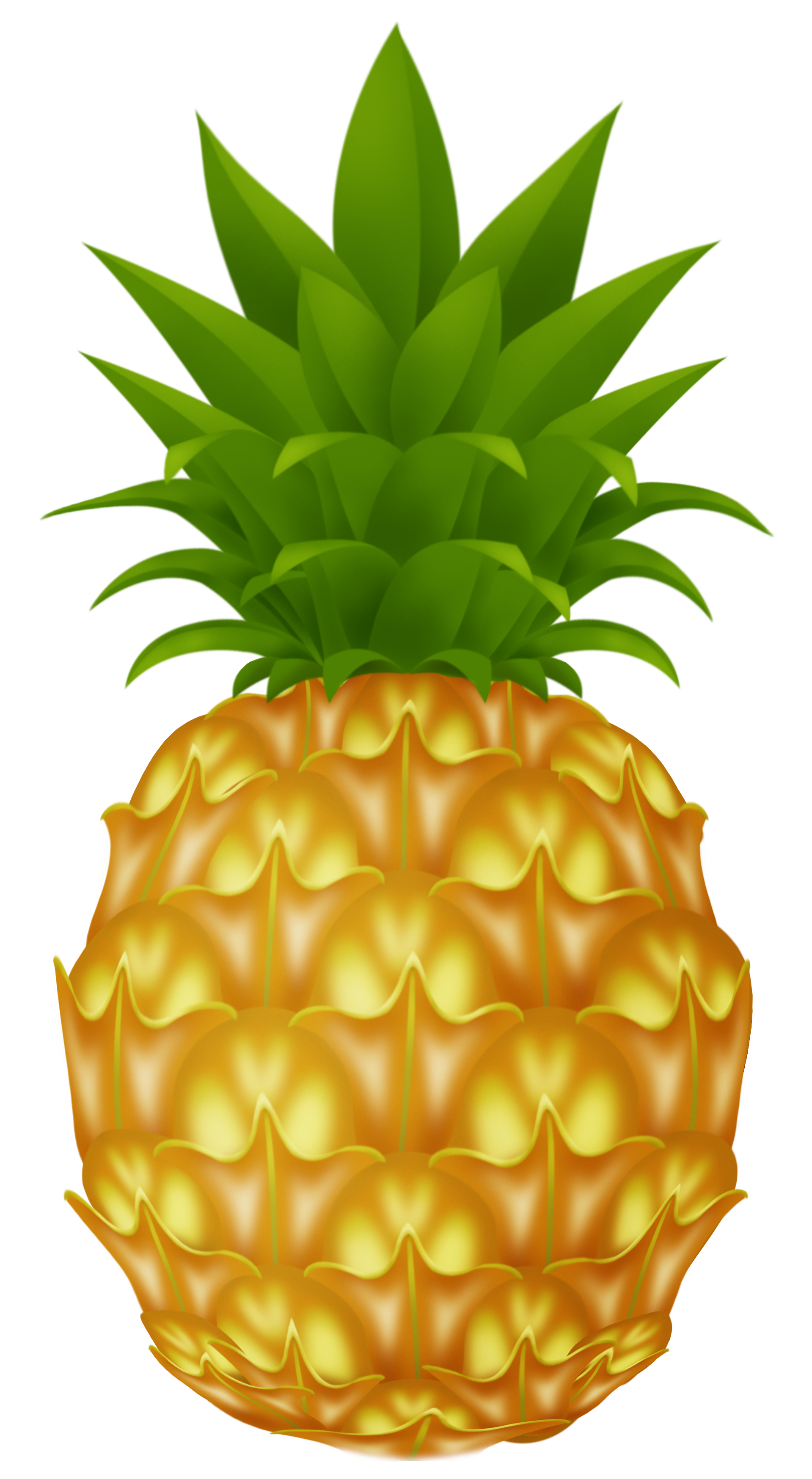 Pineapple images free pictures download clip art 3