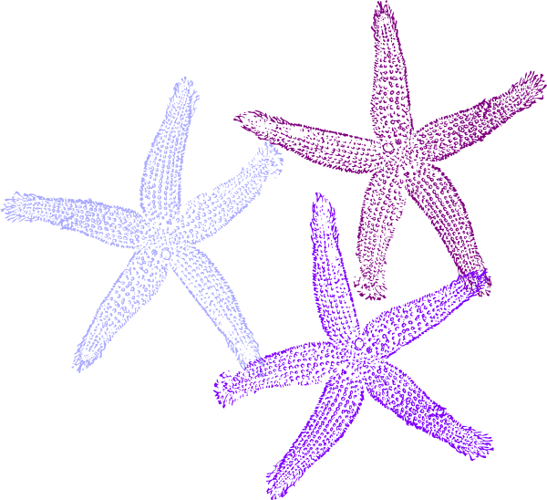 Purple starfish clipart