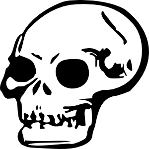 Skull free clip art free vector clipartcow 2 clipartix