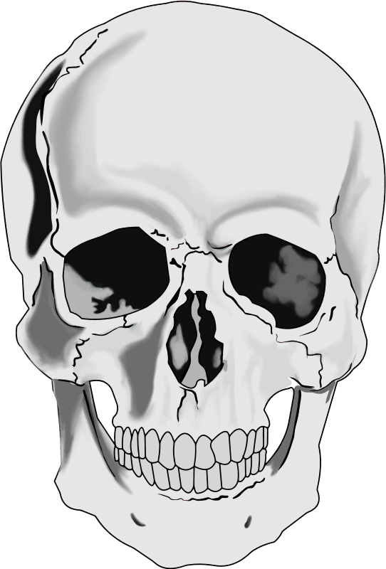 Skull human head clip art free vector for free download about free