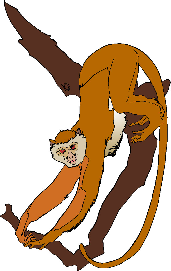 Sock monkey clip art free clipart