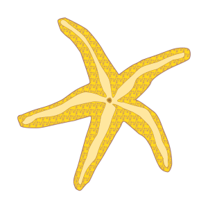 Starfish clip art starfish clipart photo niceclipart 4