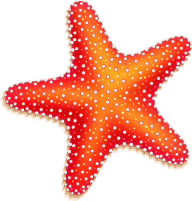 Starfish clipart 2