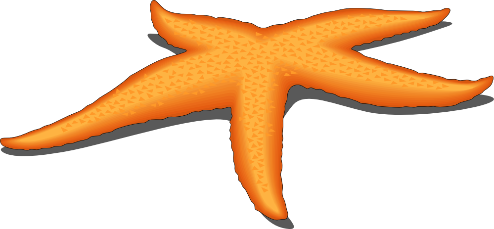 Starfish clipart black and white free clipart images 3