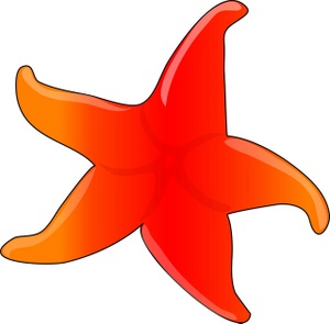 Starfish clipart black and white free clipart images