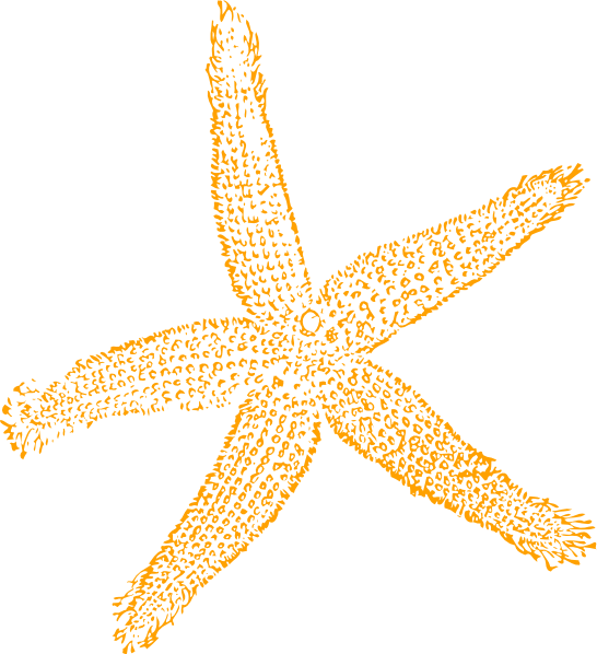 To starfish orange red clip clipart free clip art images image 0 6