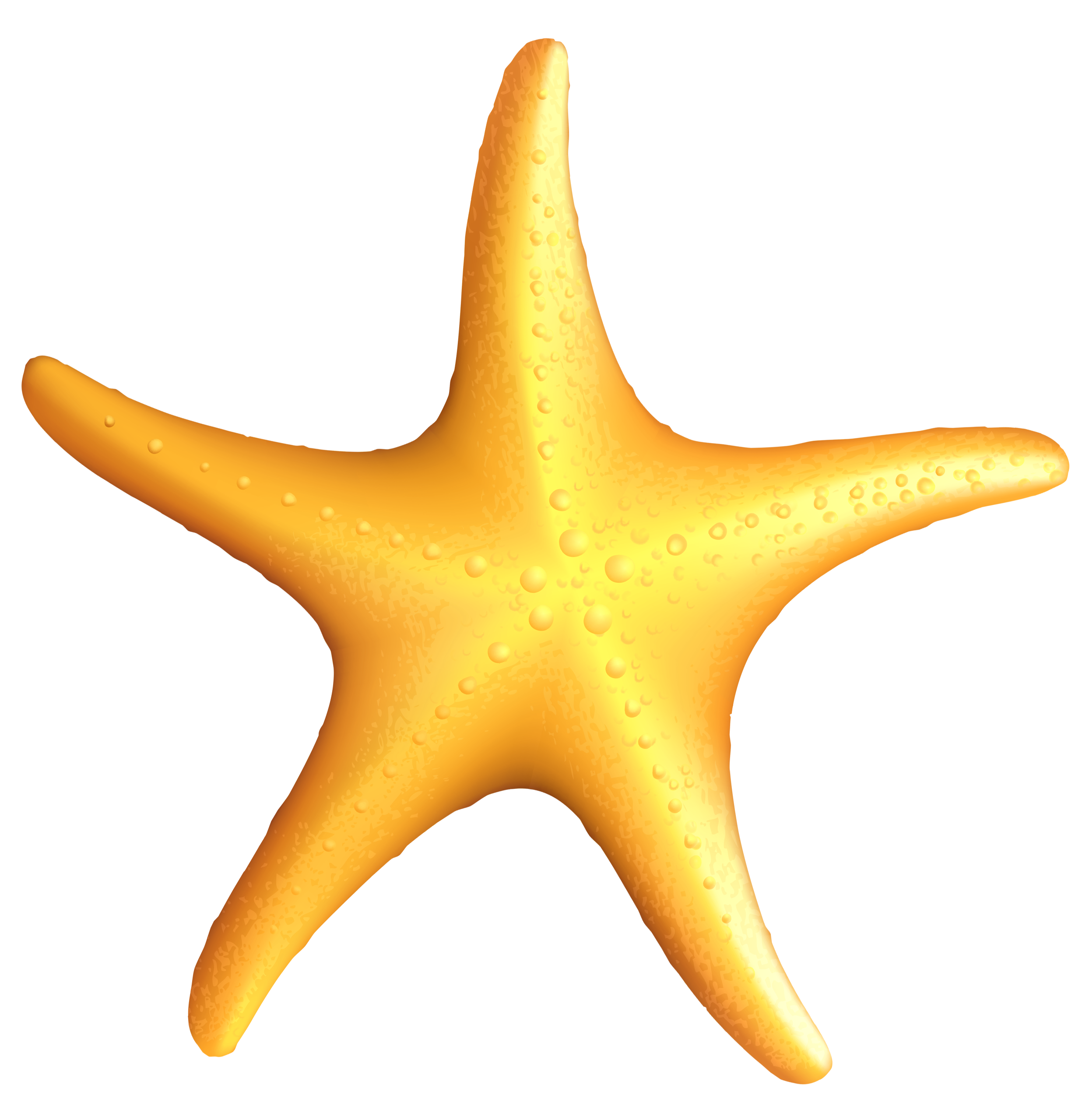 Transparent beach starfish clipart