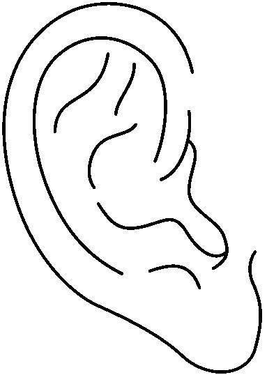 Two ears clip art clipart