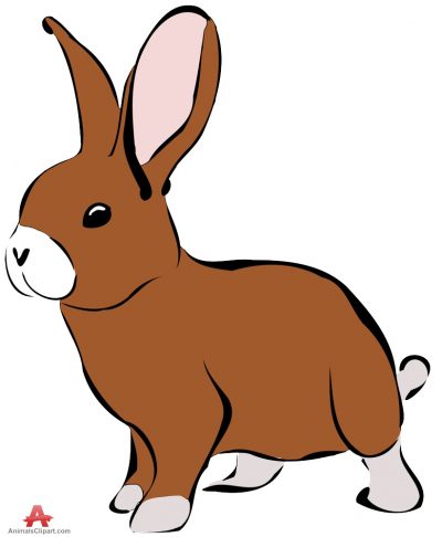 Animals clipart of rabbit clipart with the keywords rabbit