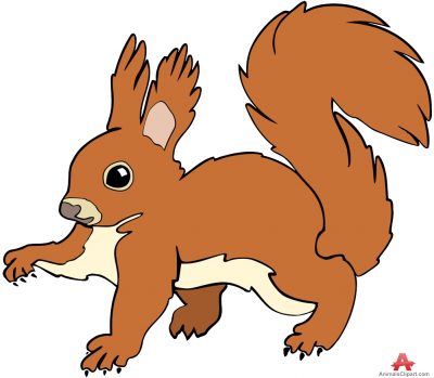 Animals clipart of squirrel clipart with the keywords squirrel