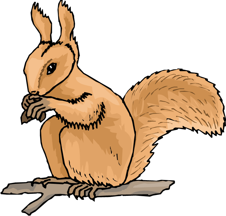 Animated squirrel clipart free squirrel clipart clipart kid