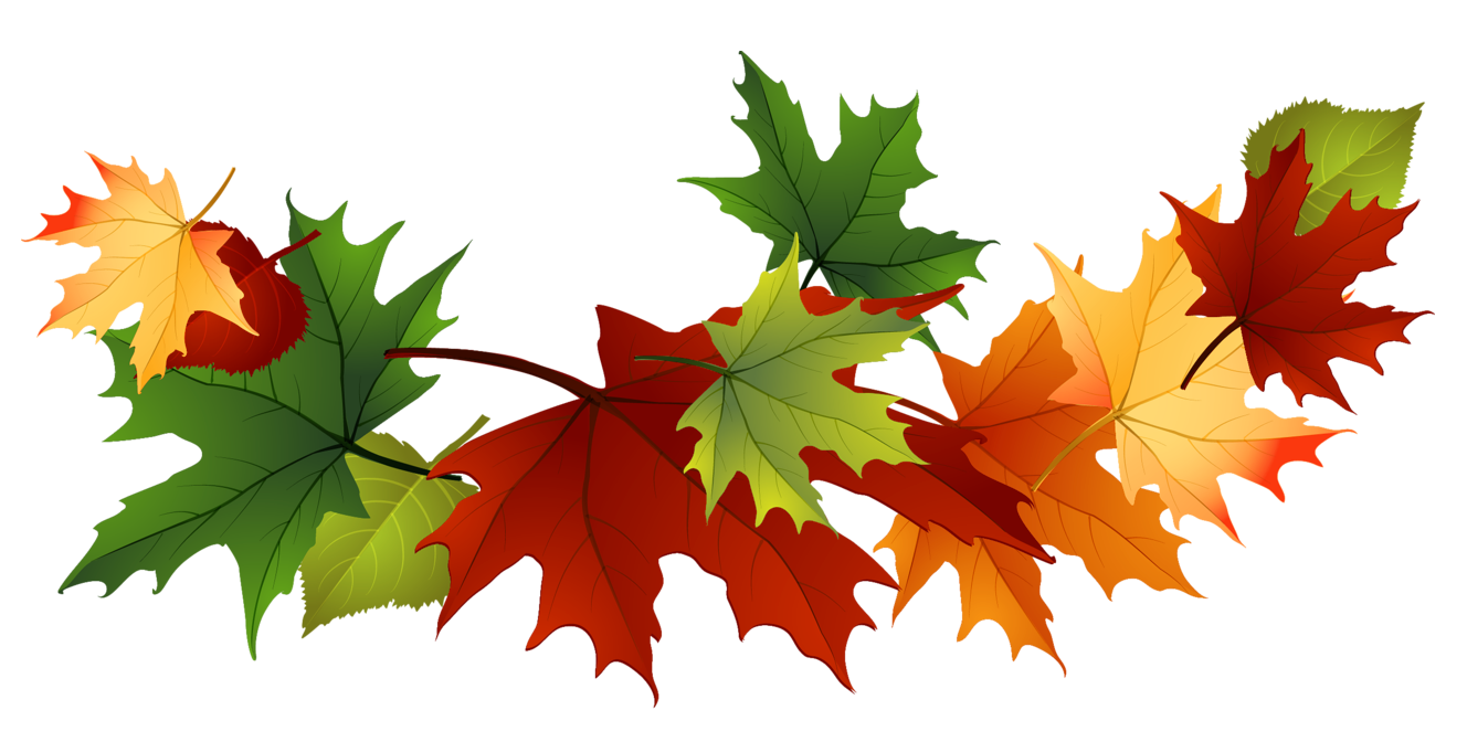 Autumn leaves graphics clipart clipart kid 2