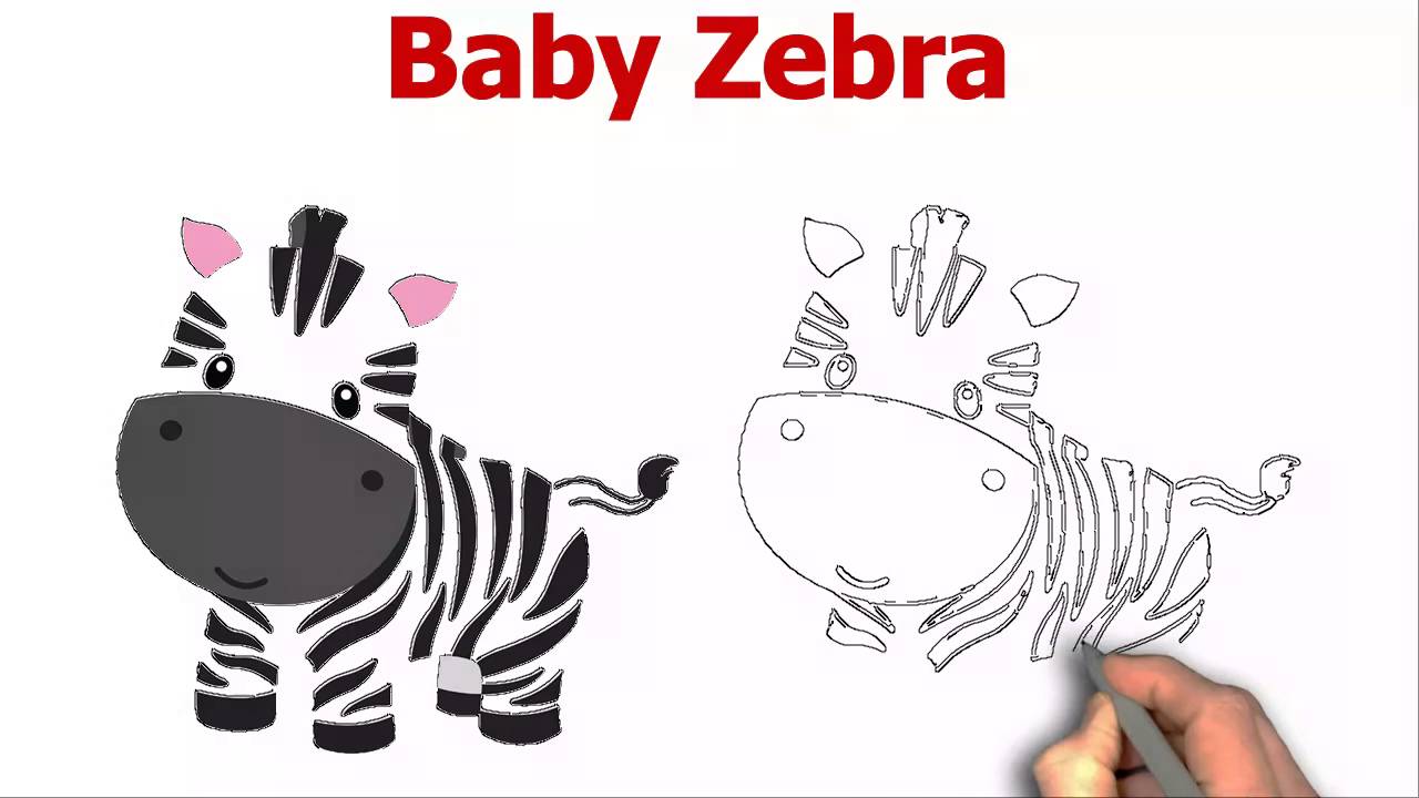 Baby zebra clipart drawing youtube