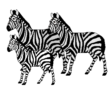 Clip art zebra clipart image 3
