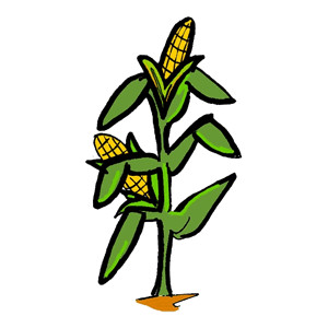 Corn clip art at clker vector clip art free clipartix