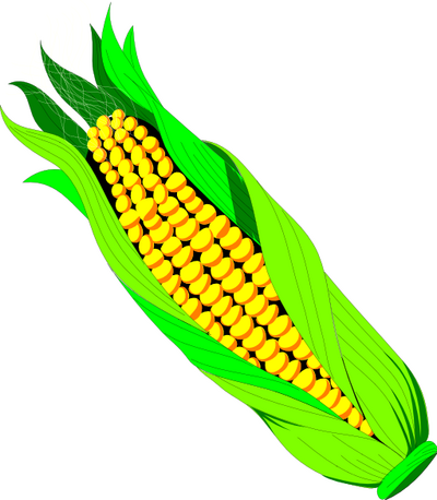 Corn clip art clipart