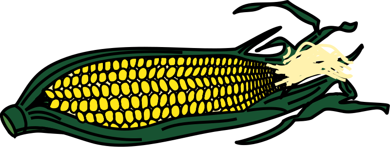 Corn clip art free free clipart images clipartix