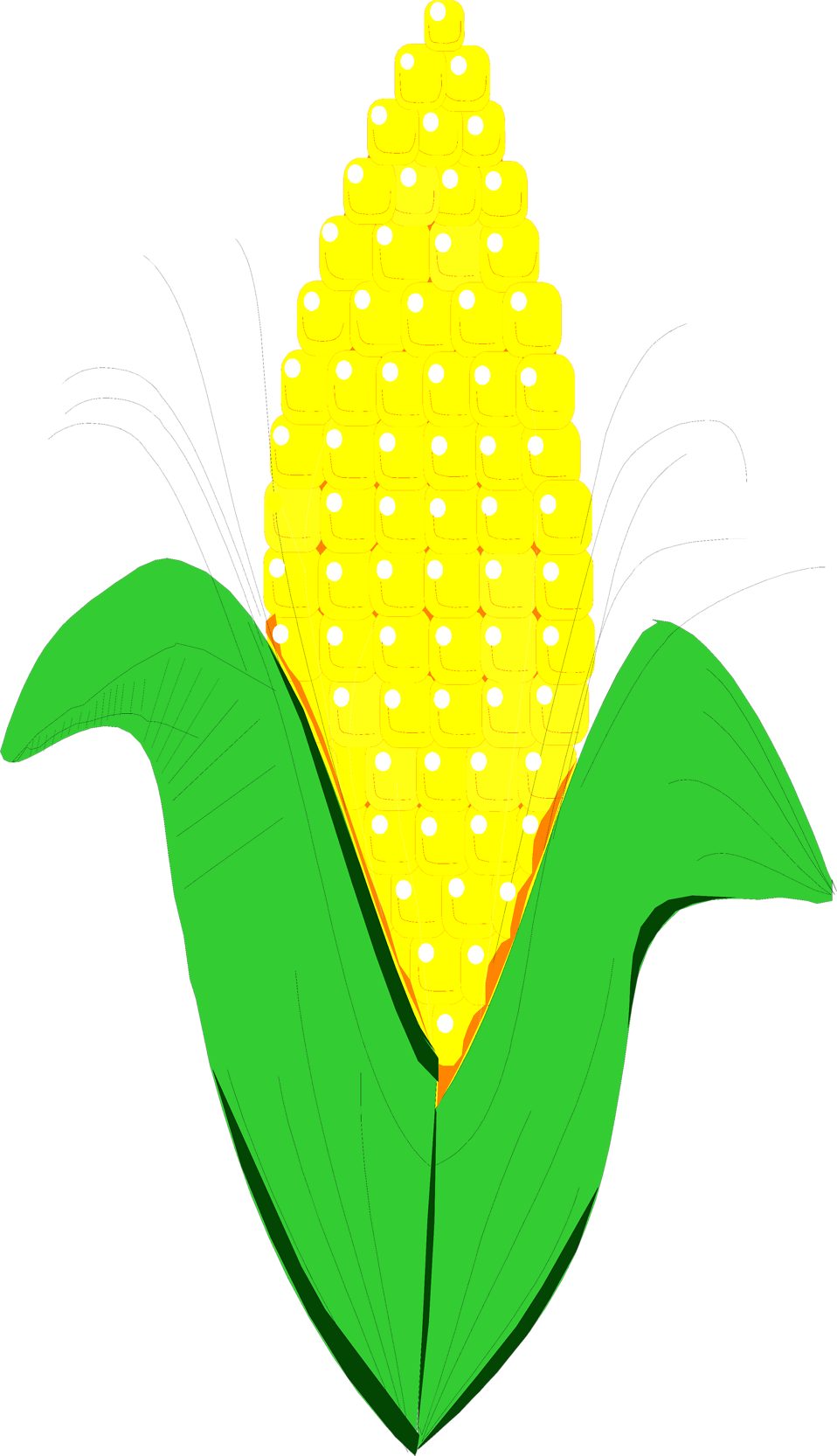 Corn free sweetrn clipart clip art image 8 of image