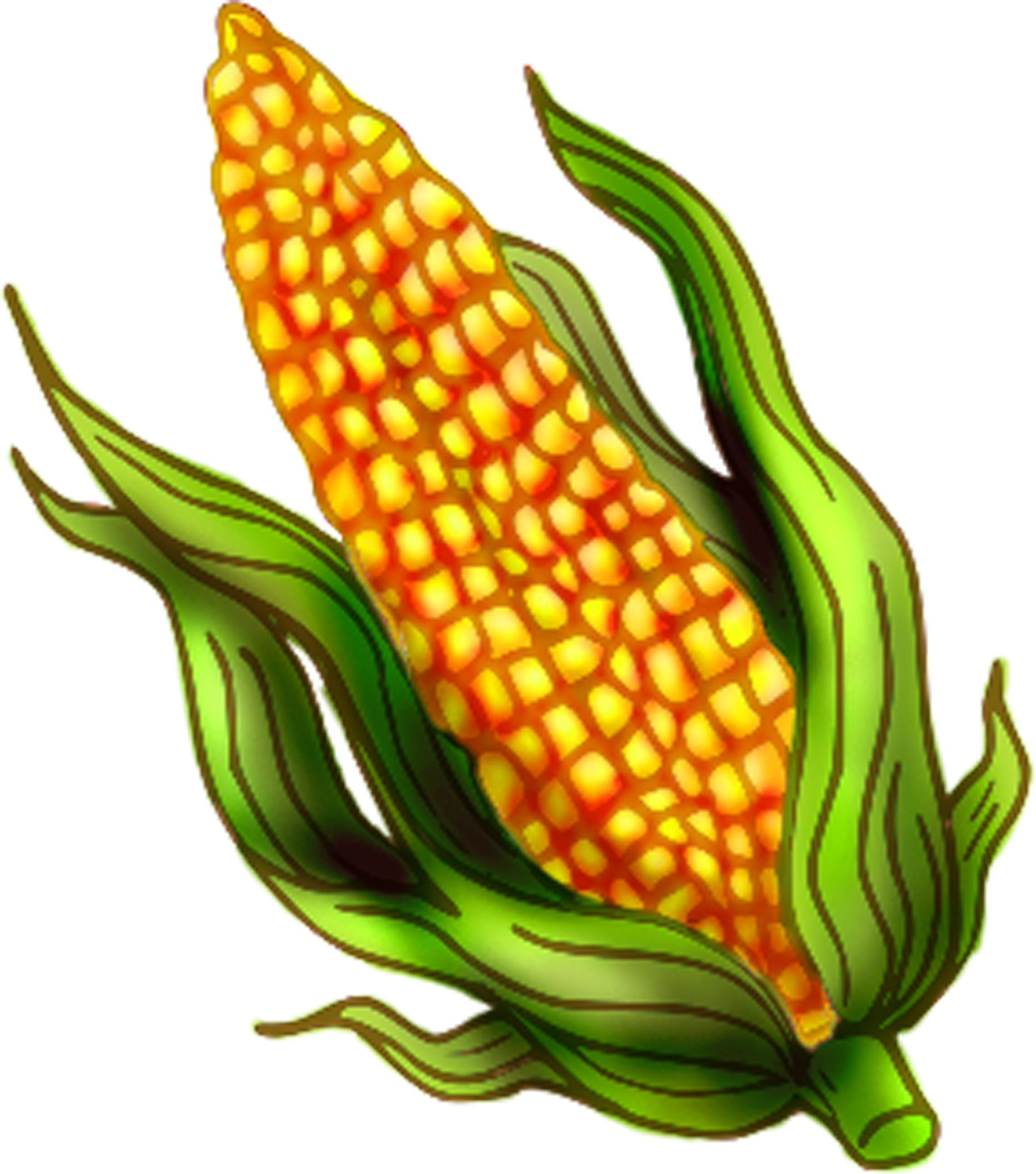 Corn freern clipart pictures clipartix