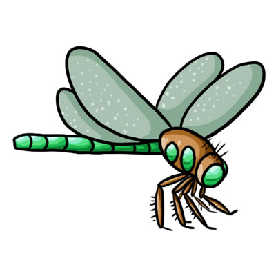 Dragonfly clipart free download free clipart images 4