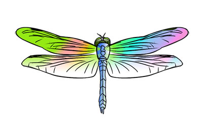 Dragonfly clipart free download free clipart images