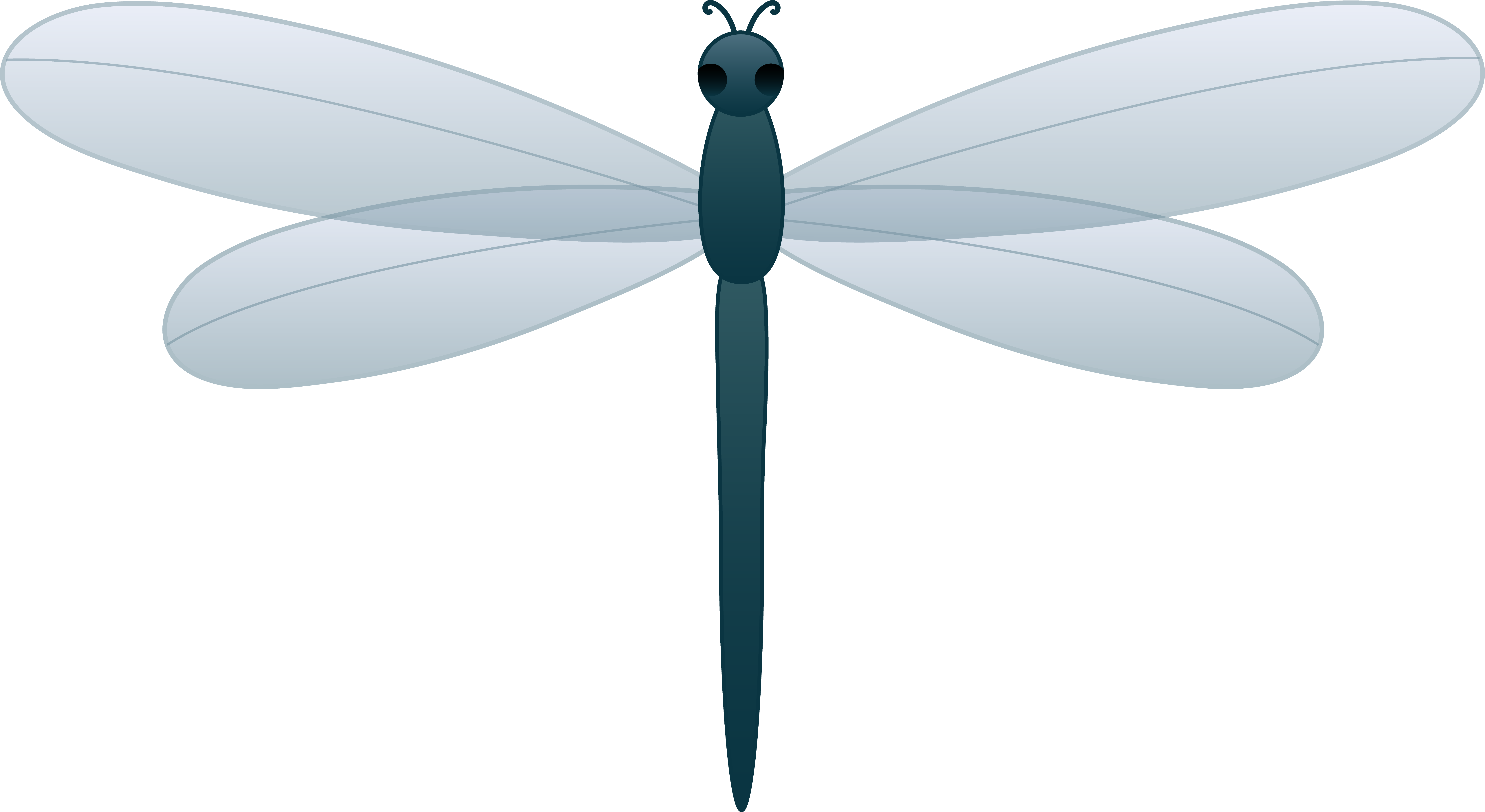 Drawing dragonfly clipart clipart kid
