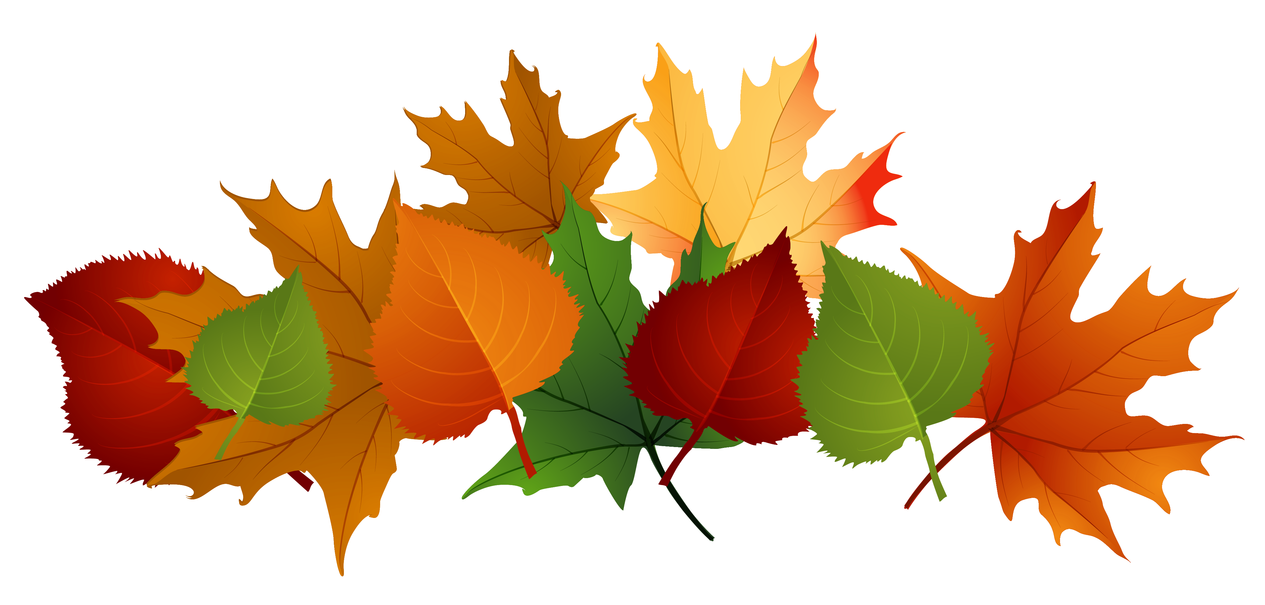 Fall leaves fall leaf clipart no background free clipart images 2
