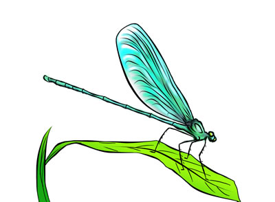 Free dragonfly clip art 2