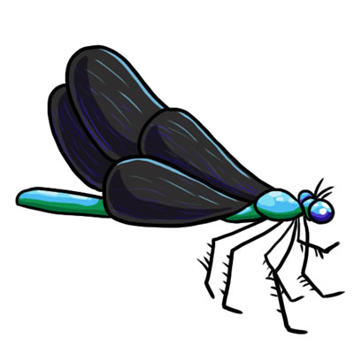 Free dragonfly clip art drawings andlorful images 2 image 6