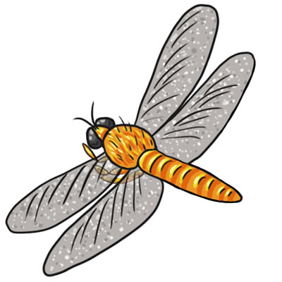 Free dragonfly clip art drawings andlorful images 2