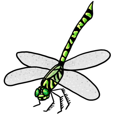 Free dragonfly clip art drawings andlorful images 3