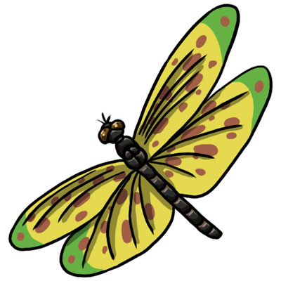 Free dragonfly clip art drawings andlorful images 5