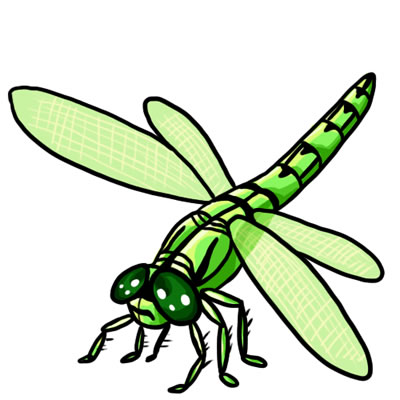 Free dragonfly clip art drawings andlorful images
