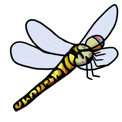 Free dragonfly clip art