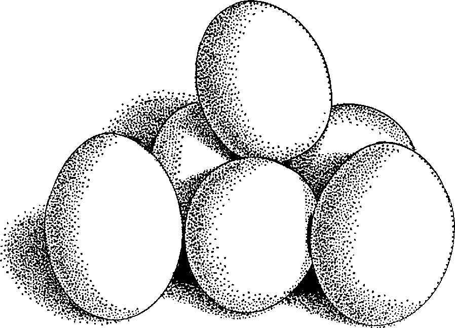 Free egg clipart eggs food clip art downloadclipart org