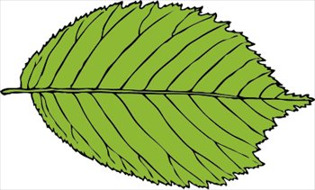 Free leaves clipart free clipart graphics images and photos