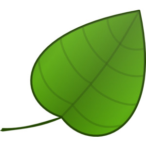 Leaves green leaf clipart clipart kid