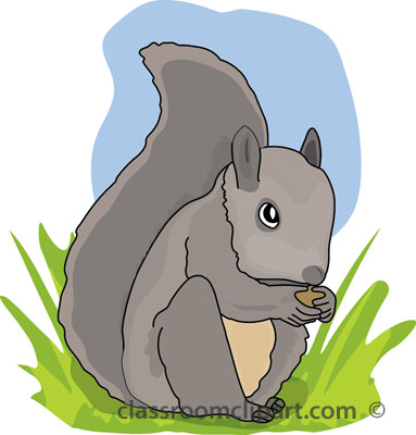 Search results search results for squirrel pictures graphics cliparts