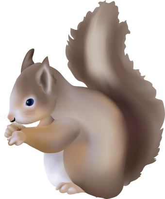 Squirrel clip art printables free clipart images