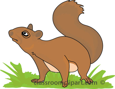 Squirrel clipart free clipart images clipartix
