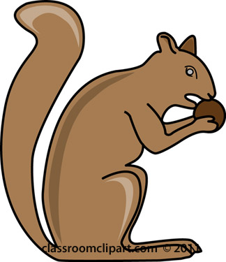 Squirrel with nut clipart clipart kid 2