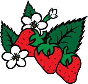 Strawberry clipart black and white free clipart