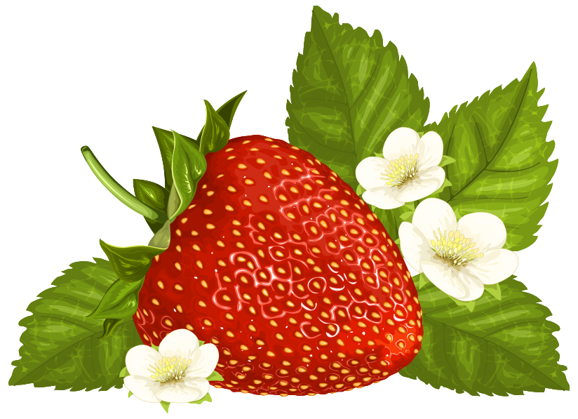 Strawberry clipart image