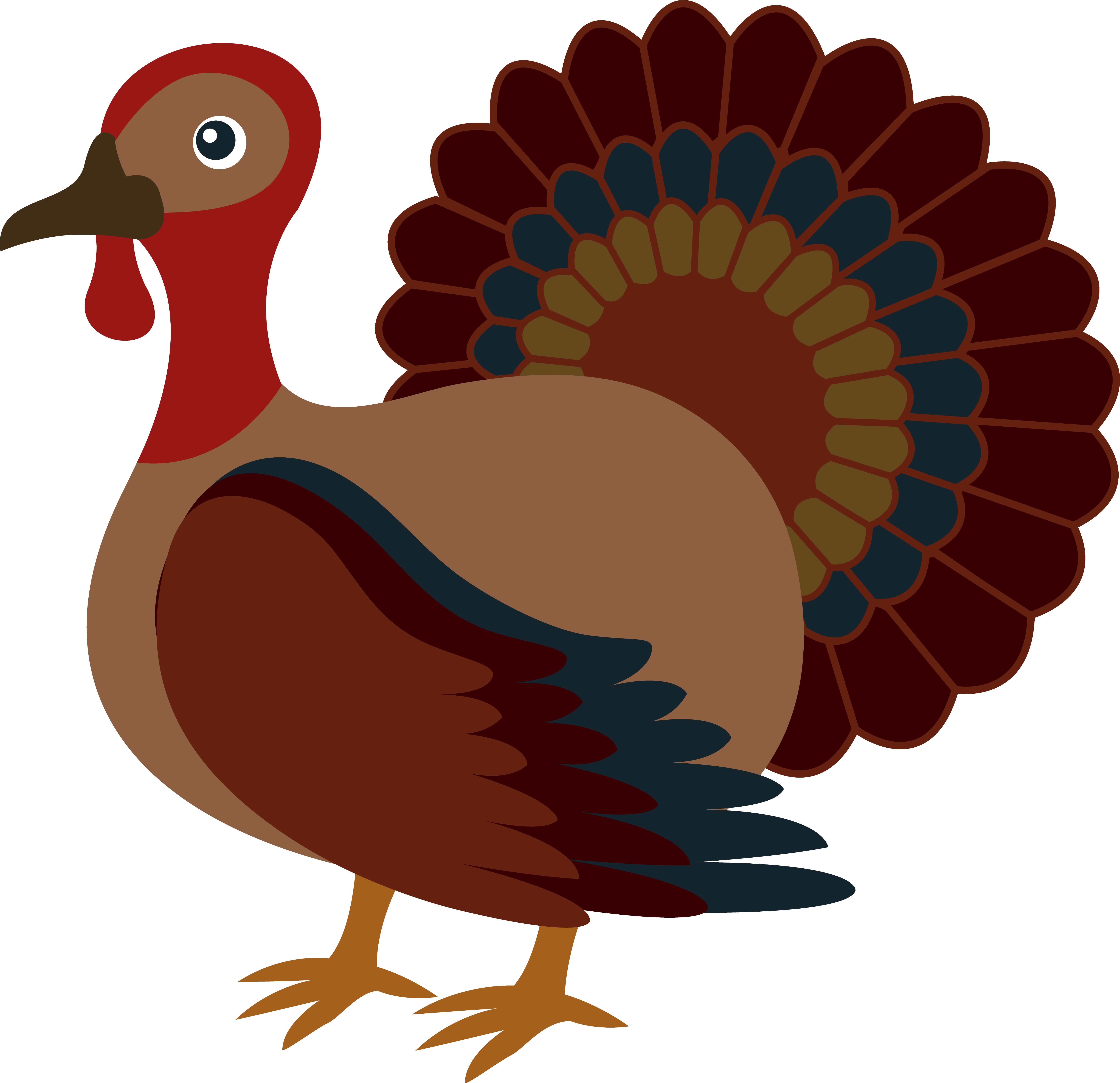 Thanksgiving turkey facts clipart