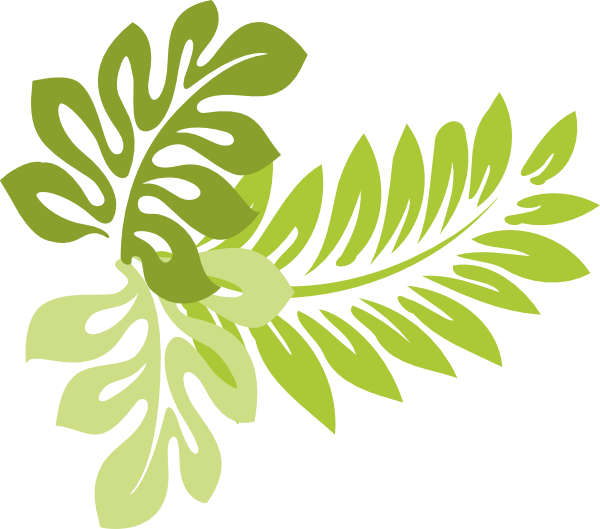 Tropical leaves clipart clipart kid