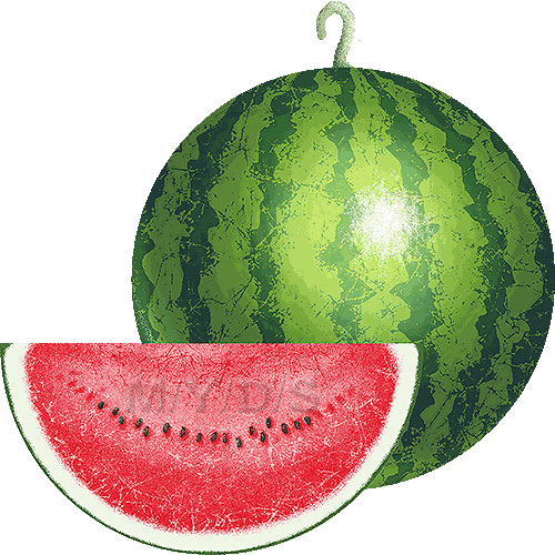 Watermelon clipart free clip art image 1